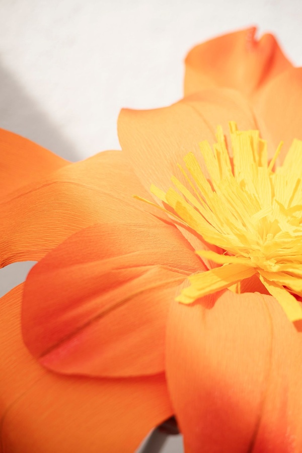 Fleur géante orange événement